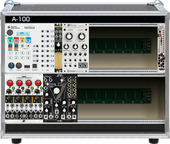My spathose Eurorack