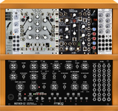Rickys moog rack