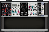 My trichoid Eurorack