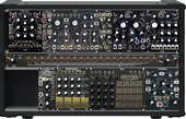 Makenoise Gold &amp; Black Shared System CUSTOM (copied from KR)