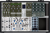 My bizarre Eurorack
