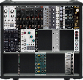 My phasmid Eurorack