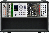 My labroid Eurorack