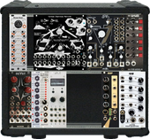 My labroid Eurorack