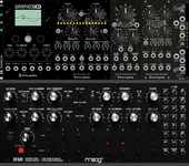 4) Erica in the Moog