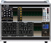 My nephric Eurorack