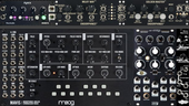 My murine Eurorack