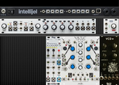 carr pallete (copy)