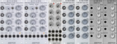 Cheaptune Eurorack