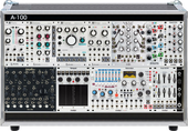 My cymoid Eurorack