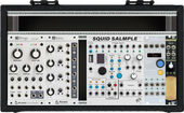 My jungly Eurorack