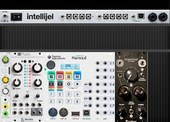 Intellijel Designs Palette 62 4U (copy) (copied from andreaslingard)