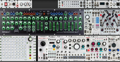 My dendroid Eurorack