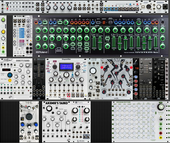 My dendroid Eurorack (copy)