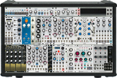 My waspy Eurorack