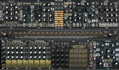 Make Noise Black &amp; Gold