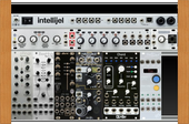 FX Intellijel (62) (copied from jonnyedwin)