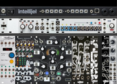 Ricky Tinez - Noise Engineering / Intellijel Case (copied from svenlito) (copy)
