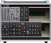 My frizzly Eurorack