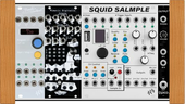 Erica Synths Pico System II (System 2) (copy)