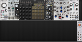 My hedgy Eurorack