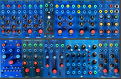 Blue Bugs