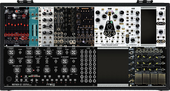 case with moog