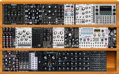My trifid Eurorack