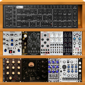 doepfer case 2