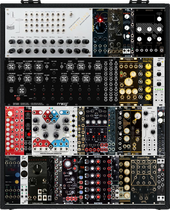 My phasmid Eurorack