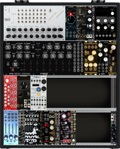 My phasmid Eurorack (copy)