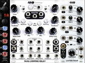 My scincoid Eurorack