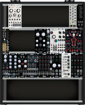 My rhinal Eurorack