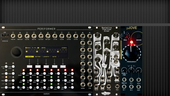 My fulvous Eurorack