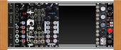 Moog Case