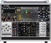 1st modular world case
