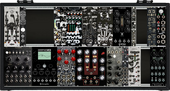My reptile Eurorack