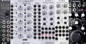 My phasmid Eurorack