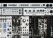 intellijel case