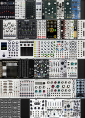 My finny Eurorack
