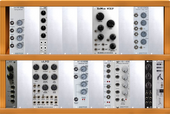 My young Eurorack