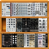 My brindle Eurorack