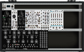 Trash Panda Machine (Intellijel 104 7U rack)