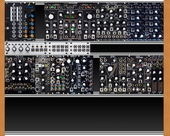 Wild Make Noise drum machine