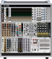 Analog Case