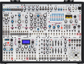 My loonies Eurorack