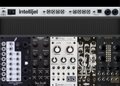 Int Palette (copy)