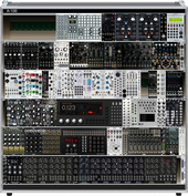 Modules I Own Next Steps 7/8 (copy)