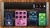 Harry's board