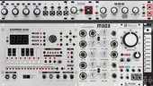 My 303 Eurorack